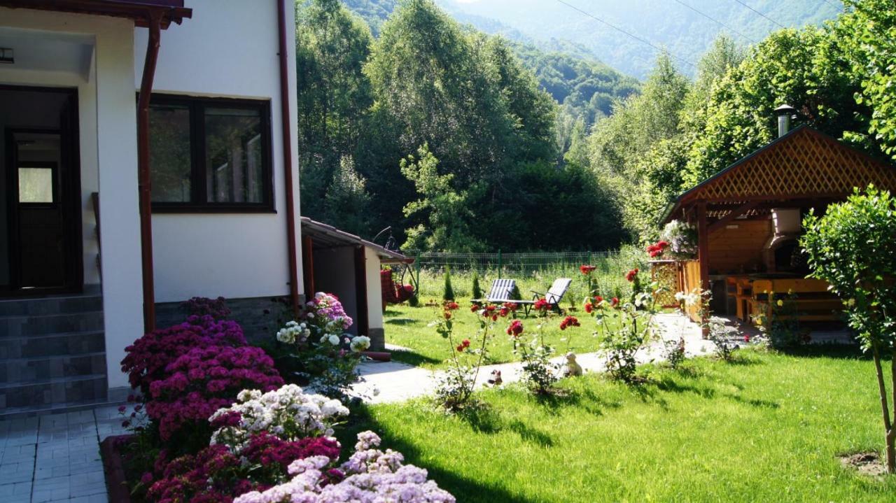 Cabana Nisipoasa Rîu de Mori Exterior foto